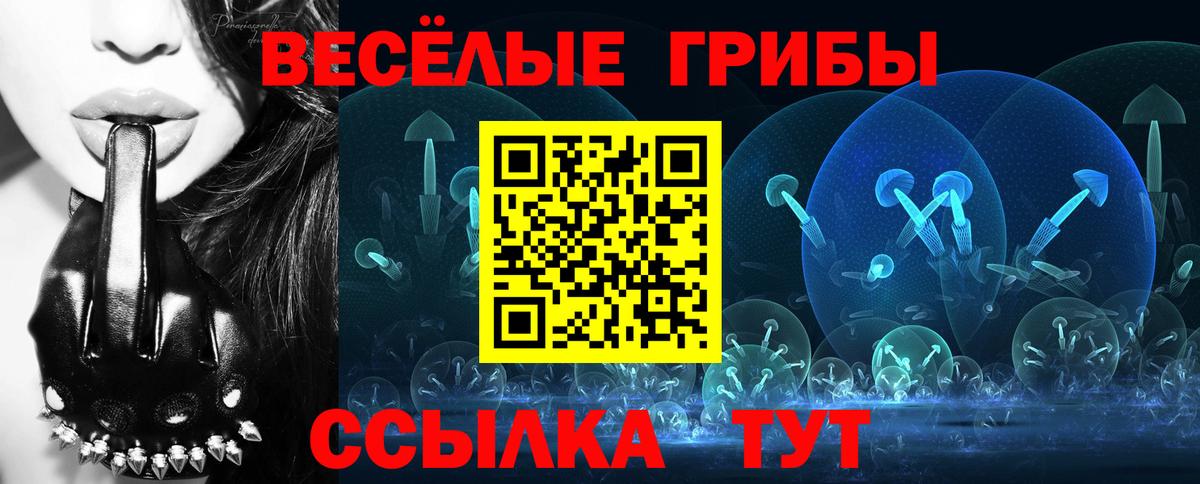 Киселёвск  Псилоцибиновые грибы прущие грибы  Вход с VPN 